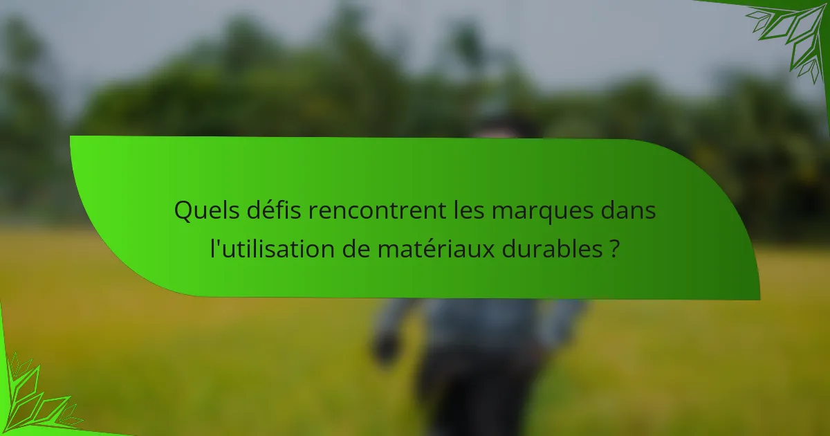 Quels défis rencontrent les marques dans l'utilisation de matériaux durables ?