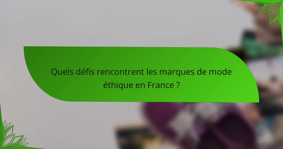 Quels défis rencontrent les marques de mode éthique en France ?