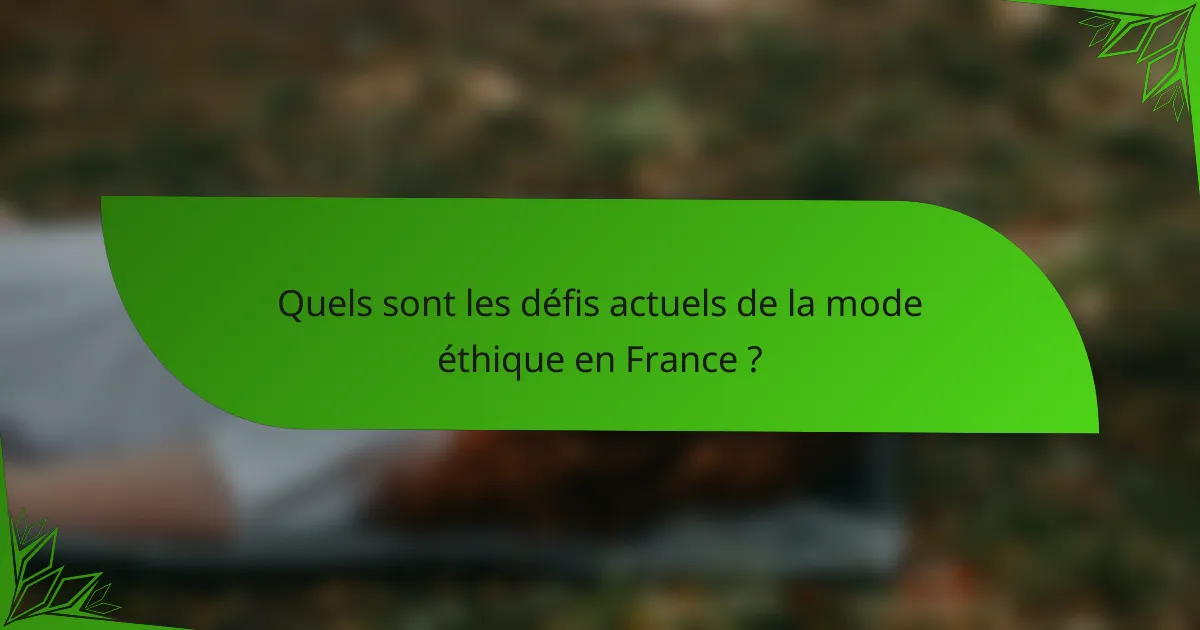 Quels sont les défis actuels de la mode éthique en France ?