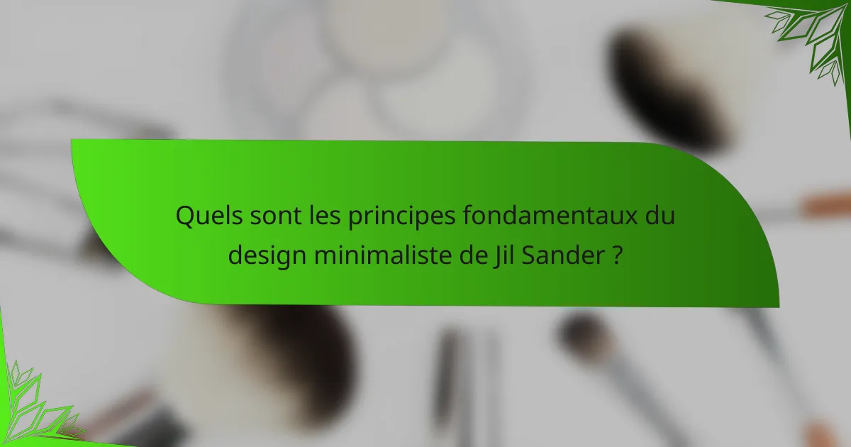 Quels sont les principes fondamentaux du design minimaliste de Jil Sander ?