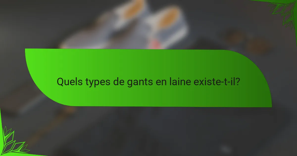 Quels types de gants en laine existe-t-il?